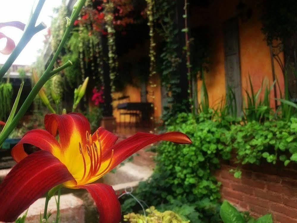 Hotel Eterna Primavera Antigua Luaran gambar