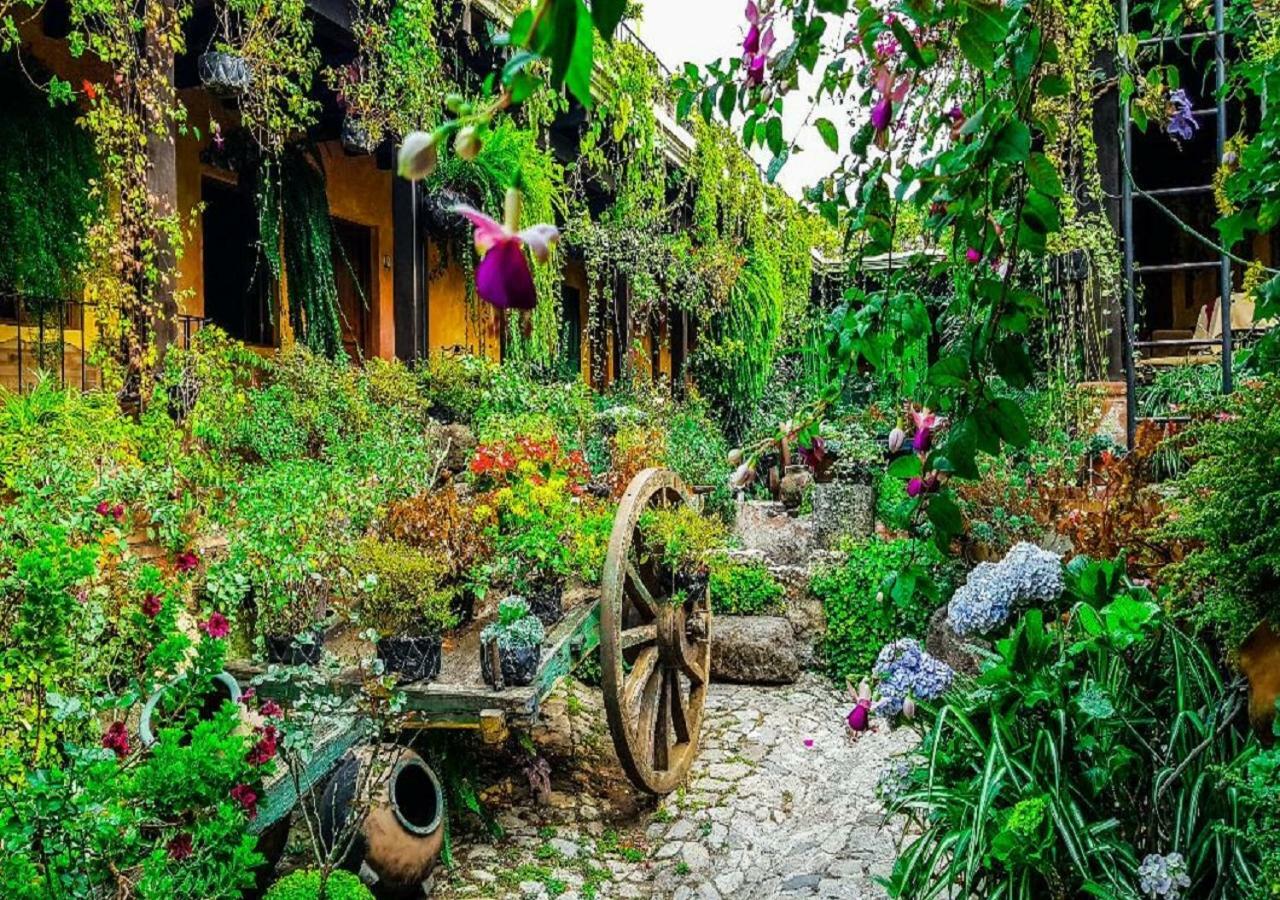 Hotel Eterna Primavera Antigua Luaran gambar